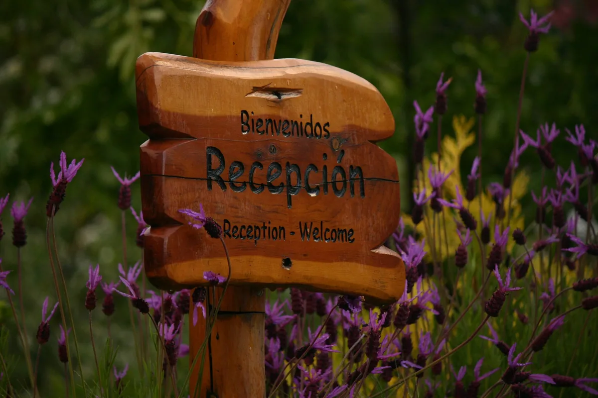 Flores violetas junto al cartel de bienvenida de la recepción de Terrazas del Campanario
